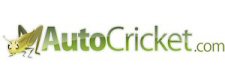 Auto Cricket